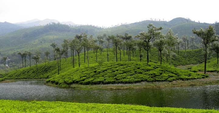 Topslip,Valparai,Athirapally Tour Package from Coimbatore