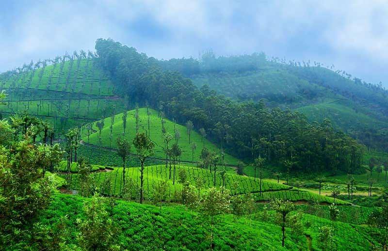 Valparai Tour Package