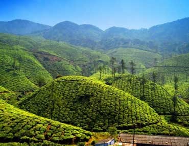 valparai tour